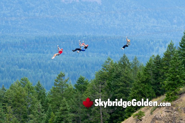 Golden Skybridge Sky Zipline 2026