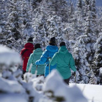 Lake Louise Winter Wildlife Snowshoe Tour