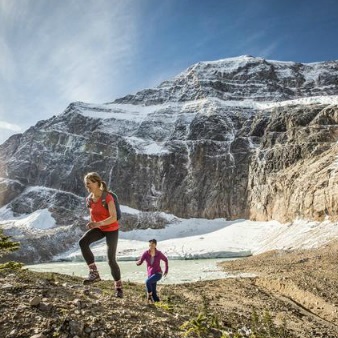 Lake Louise to Jasper One-Way Tour