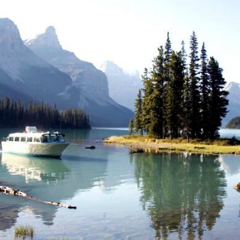 5.5 Hour Jasper Wildlife, Waterfalls Tour with Maligne Lake Cruise from Jasper