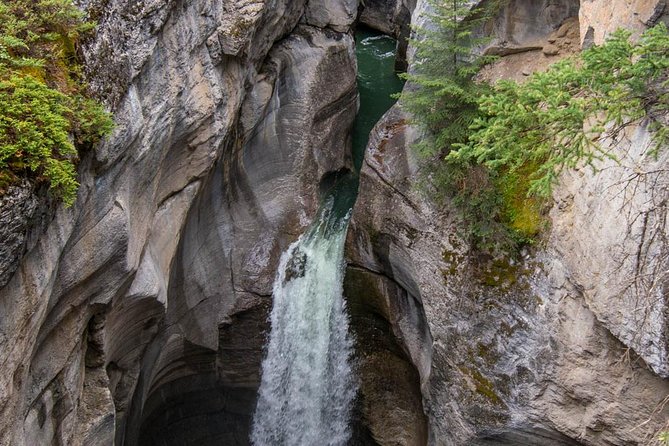 5.5hr Jasper Wildlife and Waterfalls Tour with Maligne Lake Boat Cruise