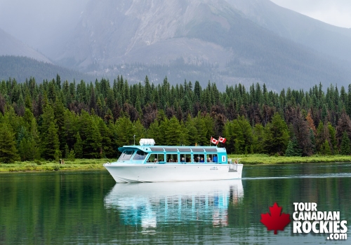 5.5hr Jasper Wildlife and Waterfalls Tour with Maligne Lake Boat Cruise