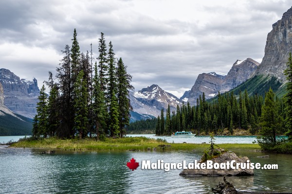 Maligne Lake Boat Cruise