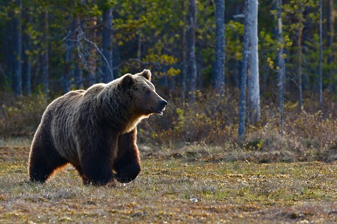 Moraine Lake, Lake Louise & Banff Small Group Adventure Tour